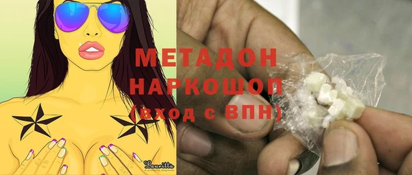 индика Абаза