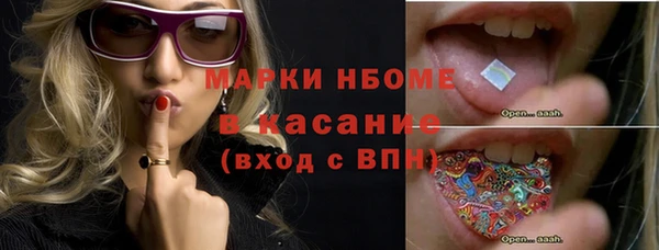 индика Абаза