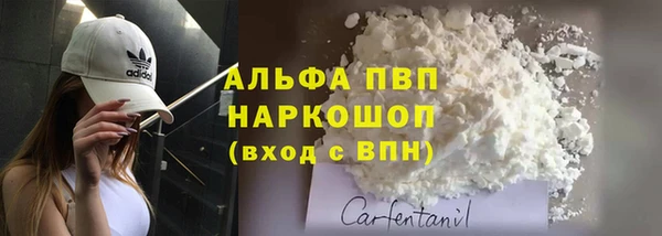 индика Абаза