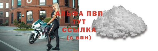 бошки Пересвет