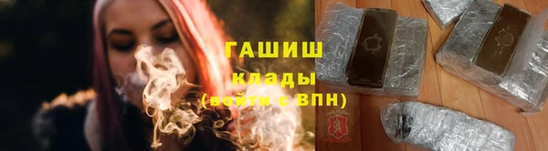 индика Абаза