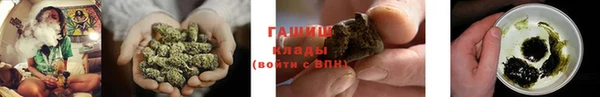 шишки Пестово