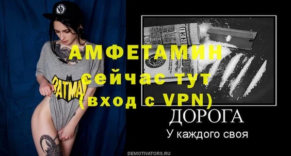индика Абаза