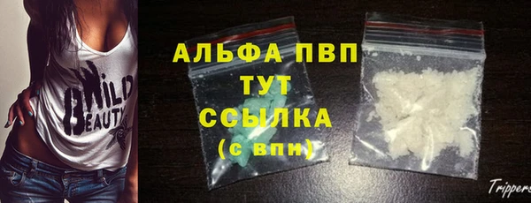 индика Абаза