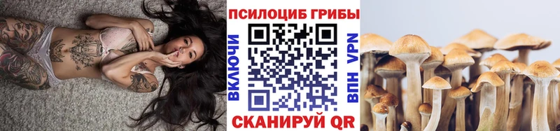 наркота  Тутаев  Галлюциногенные грибы Psilocybe 