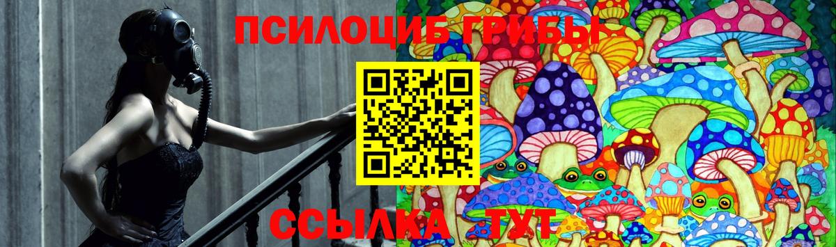 Псилоцибиновые грибы ЛСД Тутаев