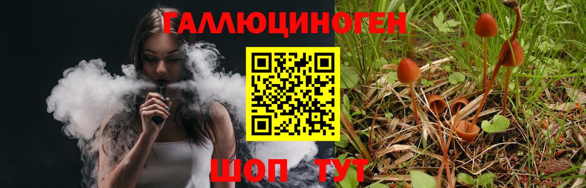 Псилоцибиновые грибы мицелий  Вход с VPN  Тутаев 
